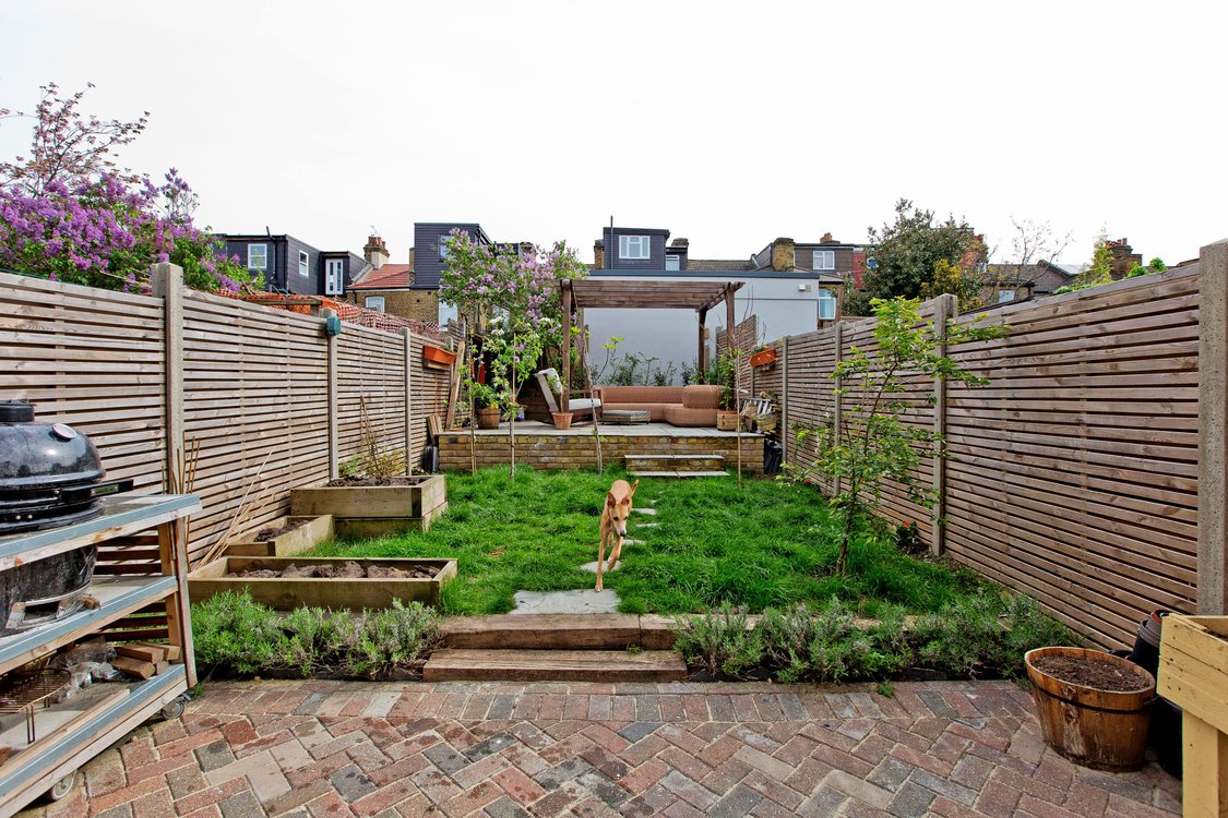 Garden view with dog