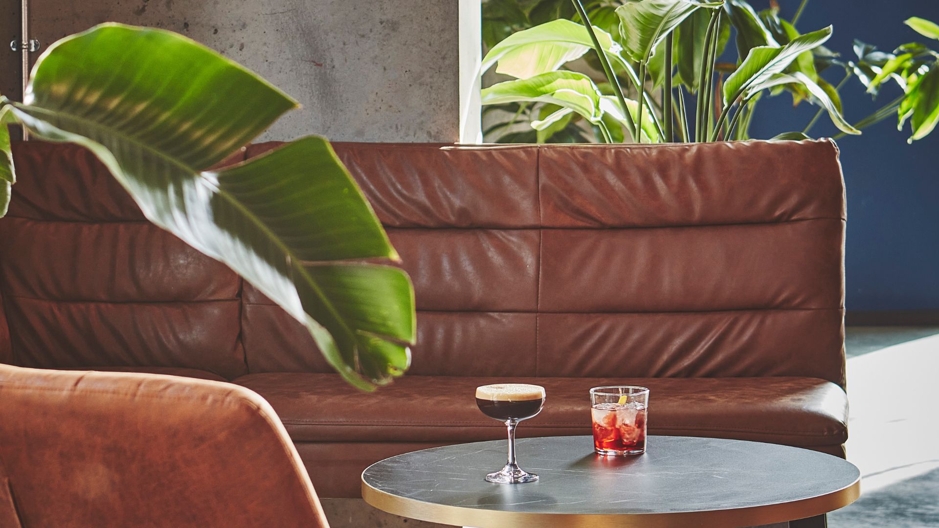 navy-wall-midcentury-lounge-large-plants