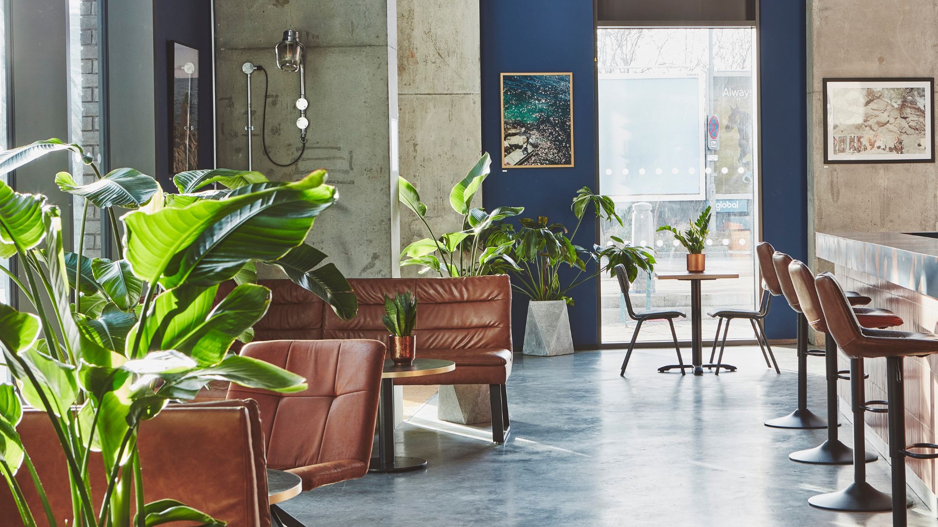 navy-wall-midcentury-lounge-plants