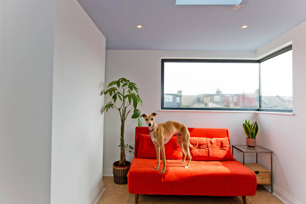 Loft extension living area with a big window, sofa, bed, and dog, with pops of color.